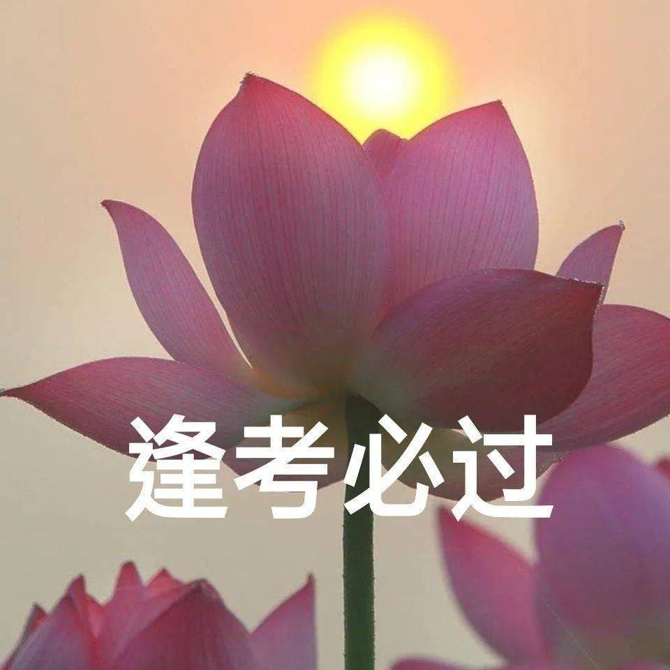 逢考必过上岸头像