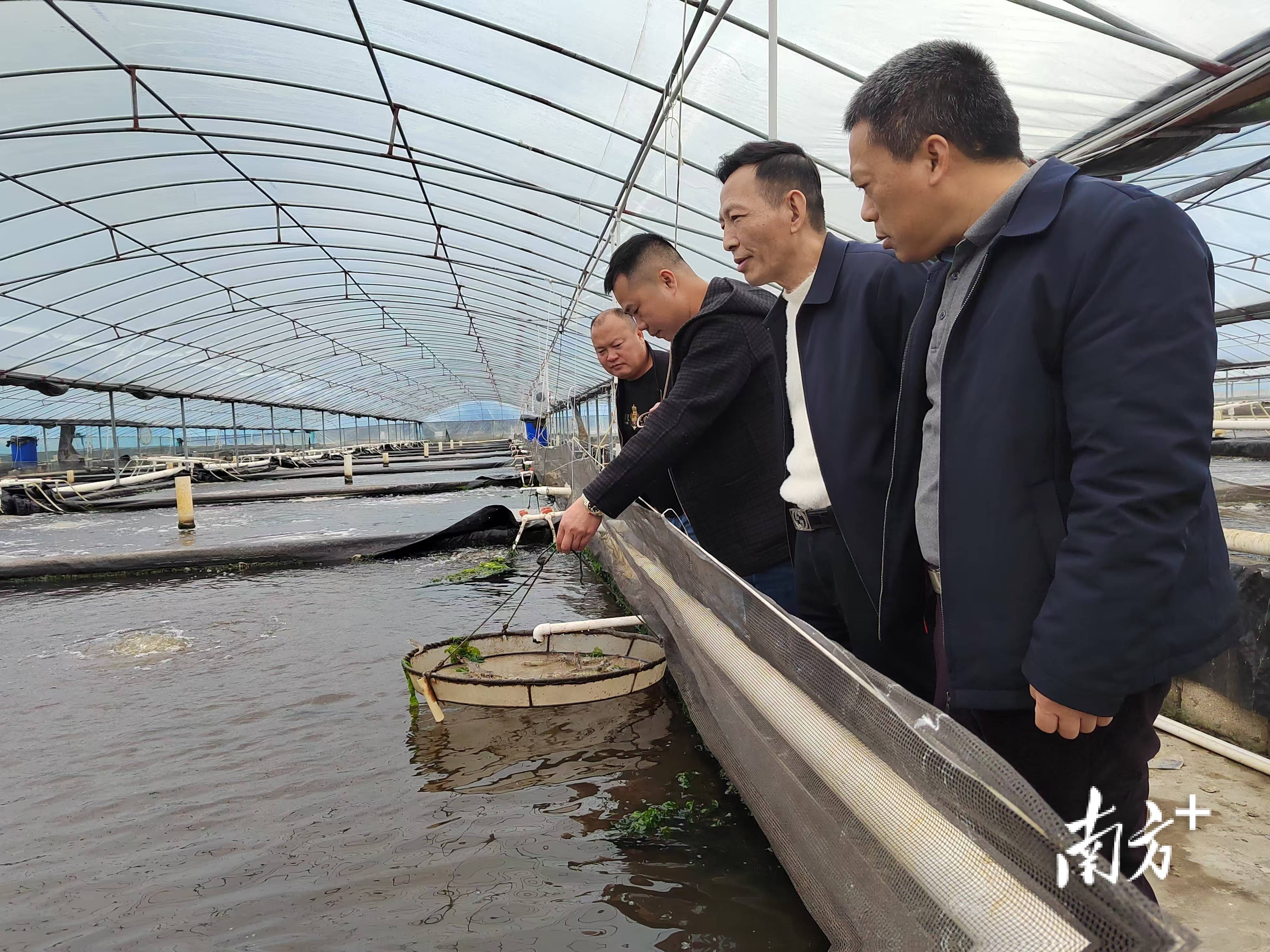 水产亩产量(水产养殖亩产量多少)