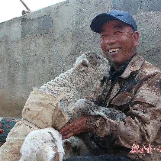 【新春走基层】一只“喜羊羊”_杜永生_产羔_大河乡