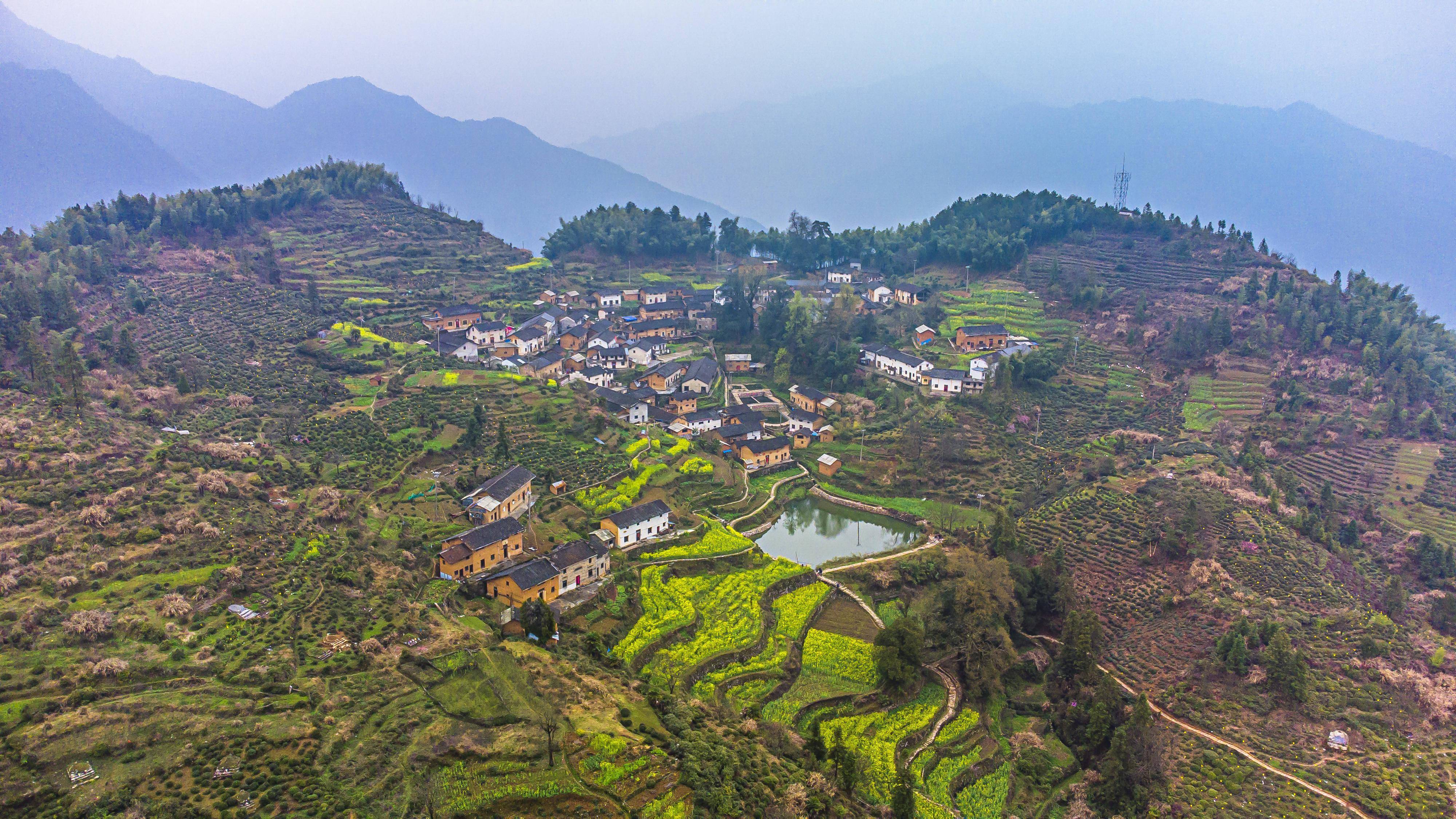 安徽高考村 第2张
安徽高考村 第2张