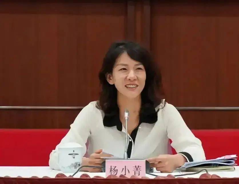 杨小菁，任许昌市委书记