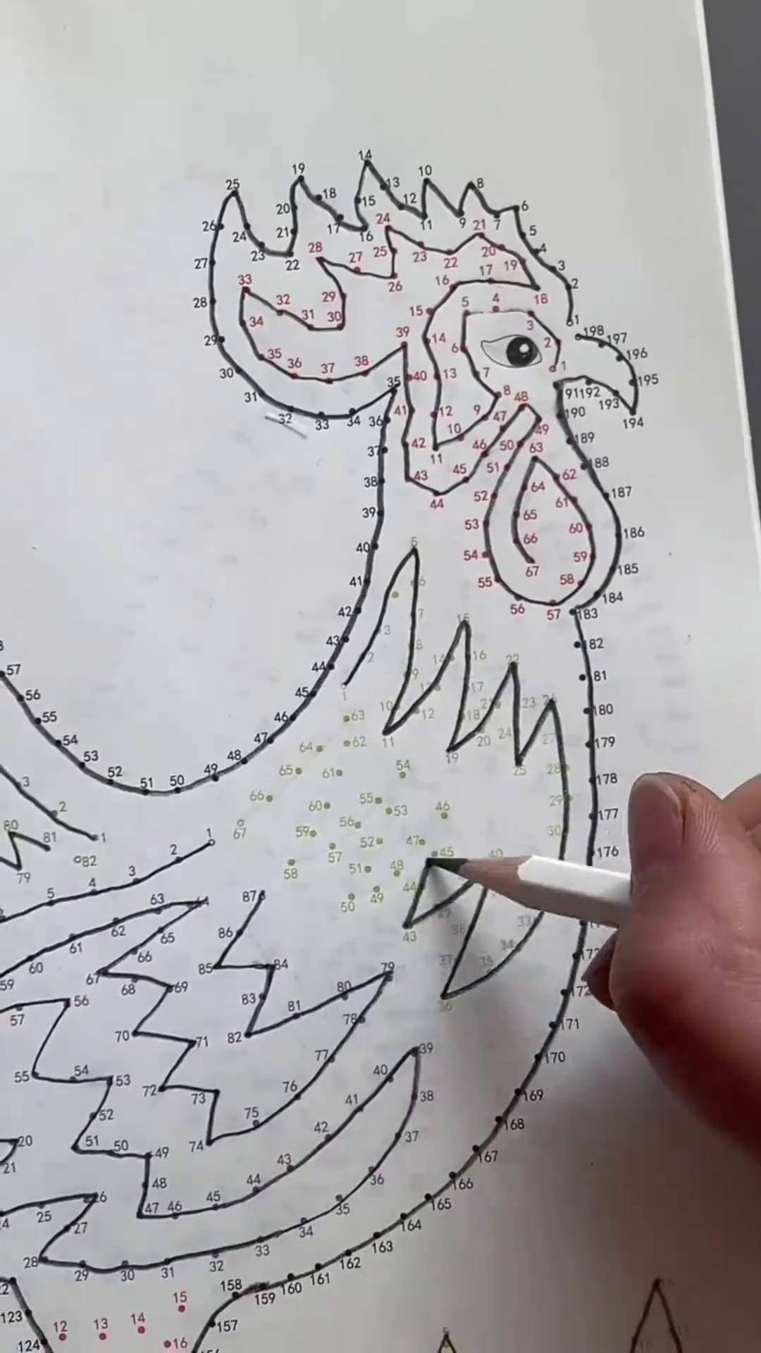 孩子的专注力是可以培养的,这个数字连线,连一连就是一幅画,还能锻炼