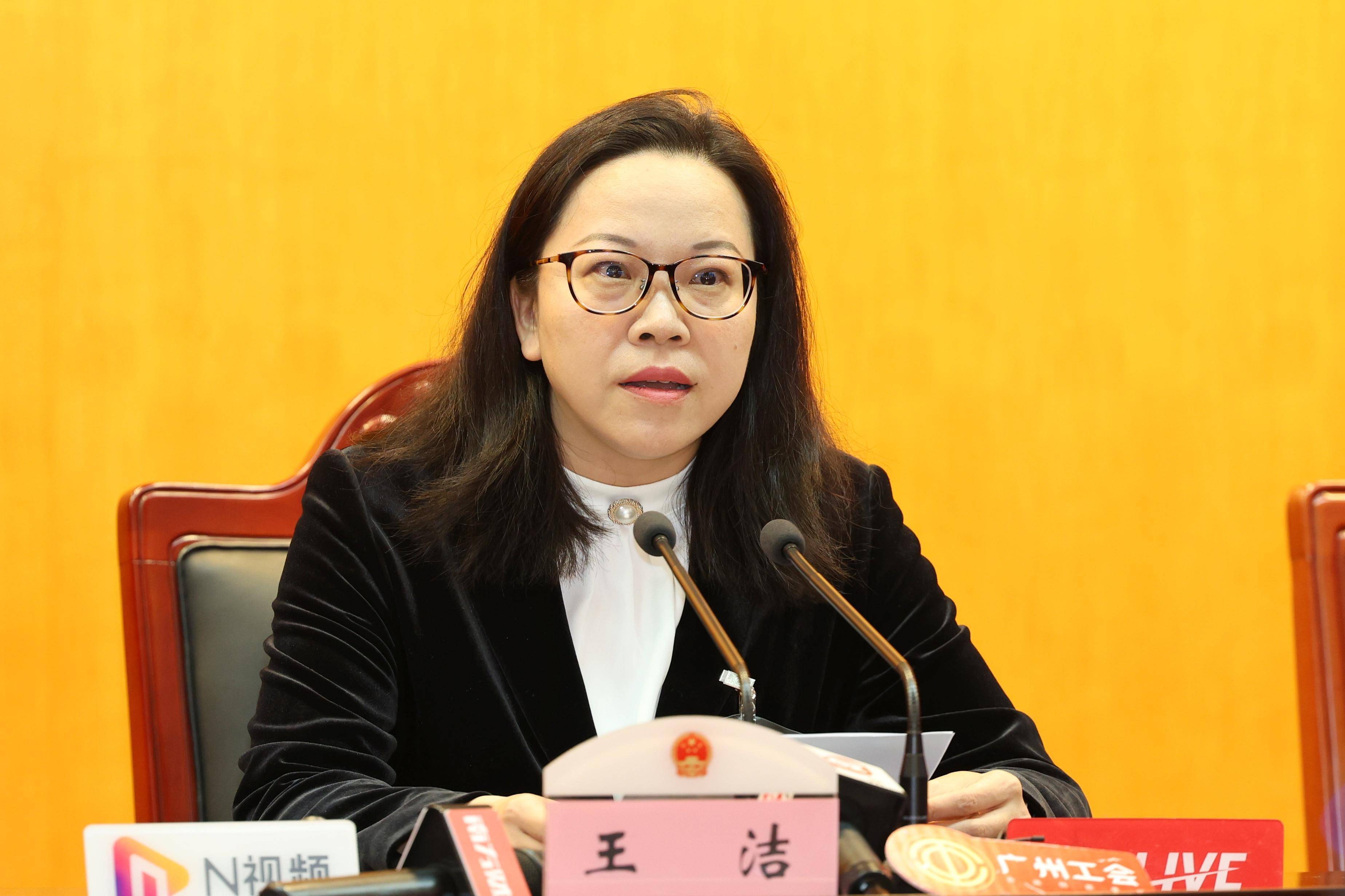 市人大代表王洁:广州应借力区域优势,尽早布局低空经济领域_产业_消费_建议