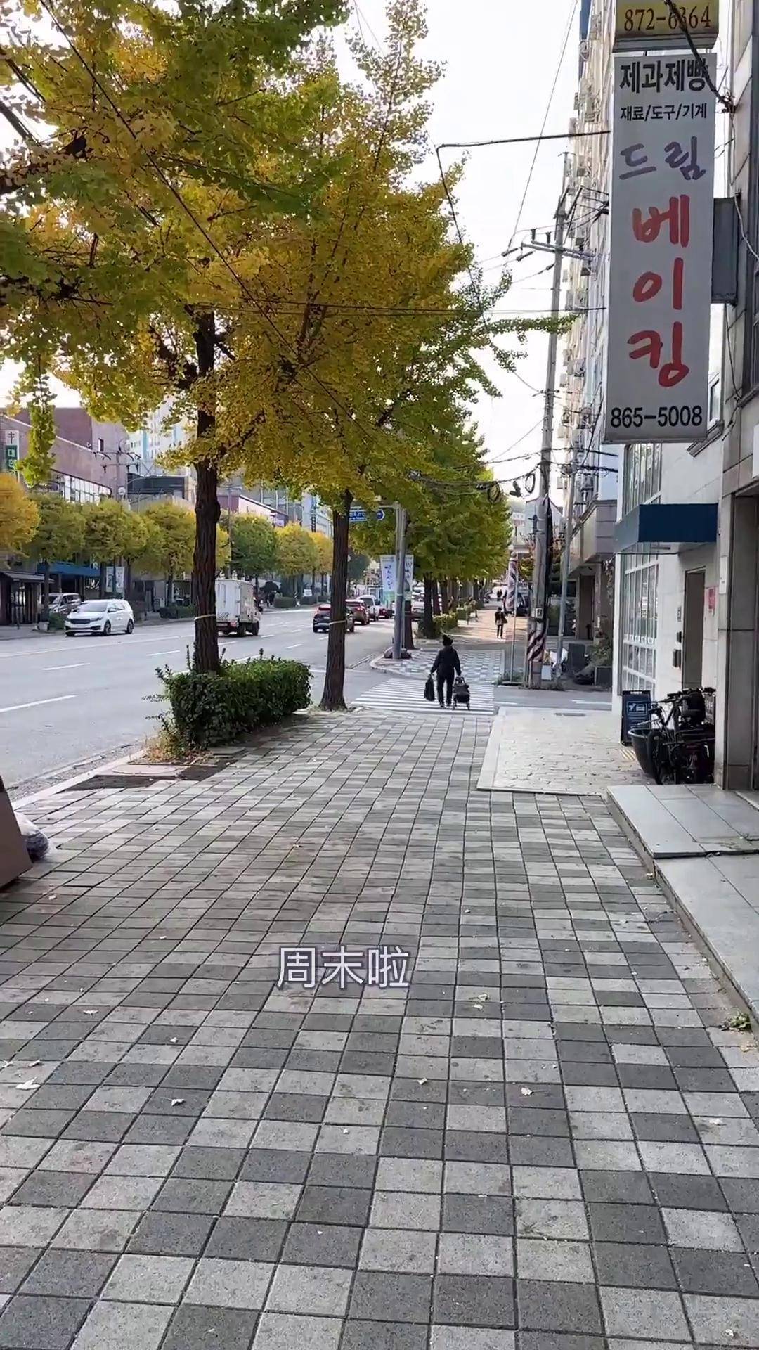 关于首尔留学vlog日本的信息