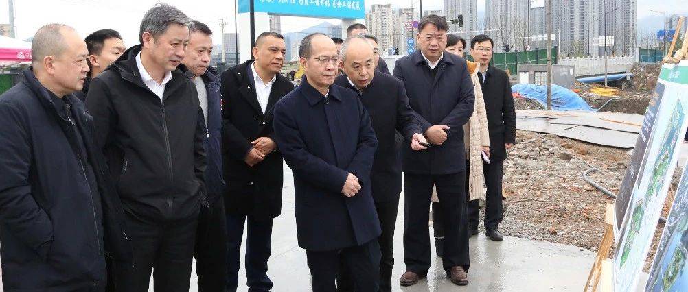 张加波赴瓯海开展人大工作调研_建设_娄桥街道_基层