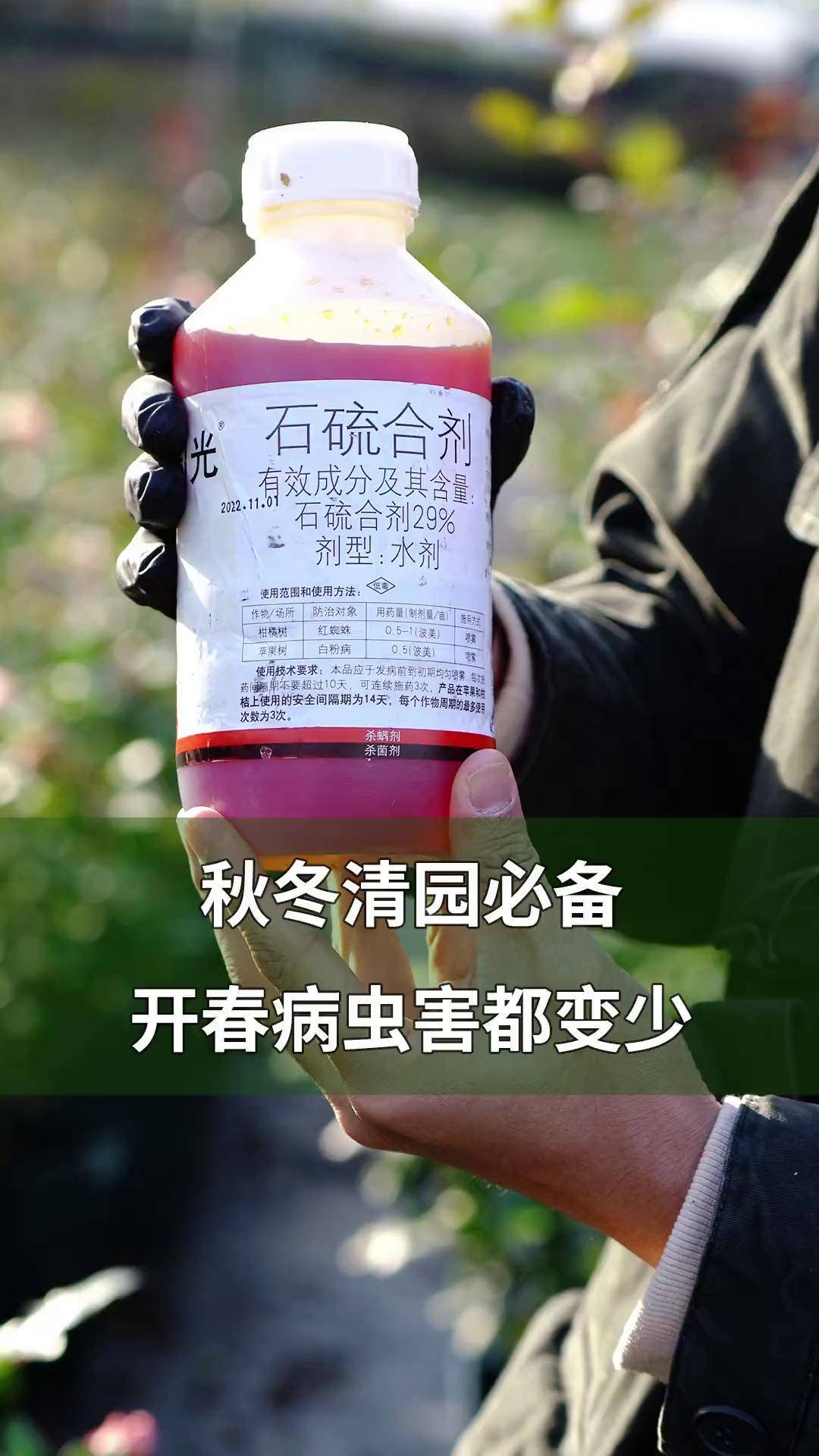 秋冬清园必备,开春病虫害都变少 养花 园艺 清园 石硫合剂