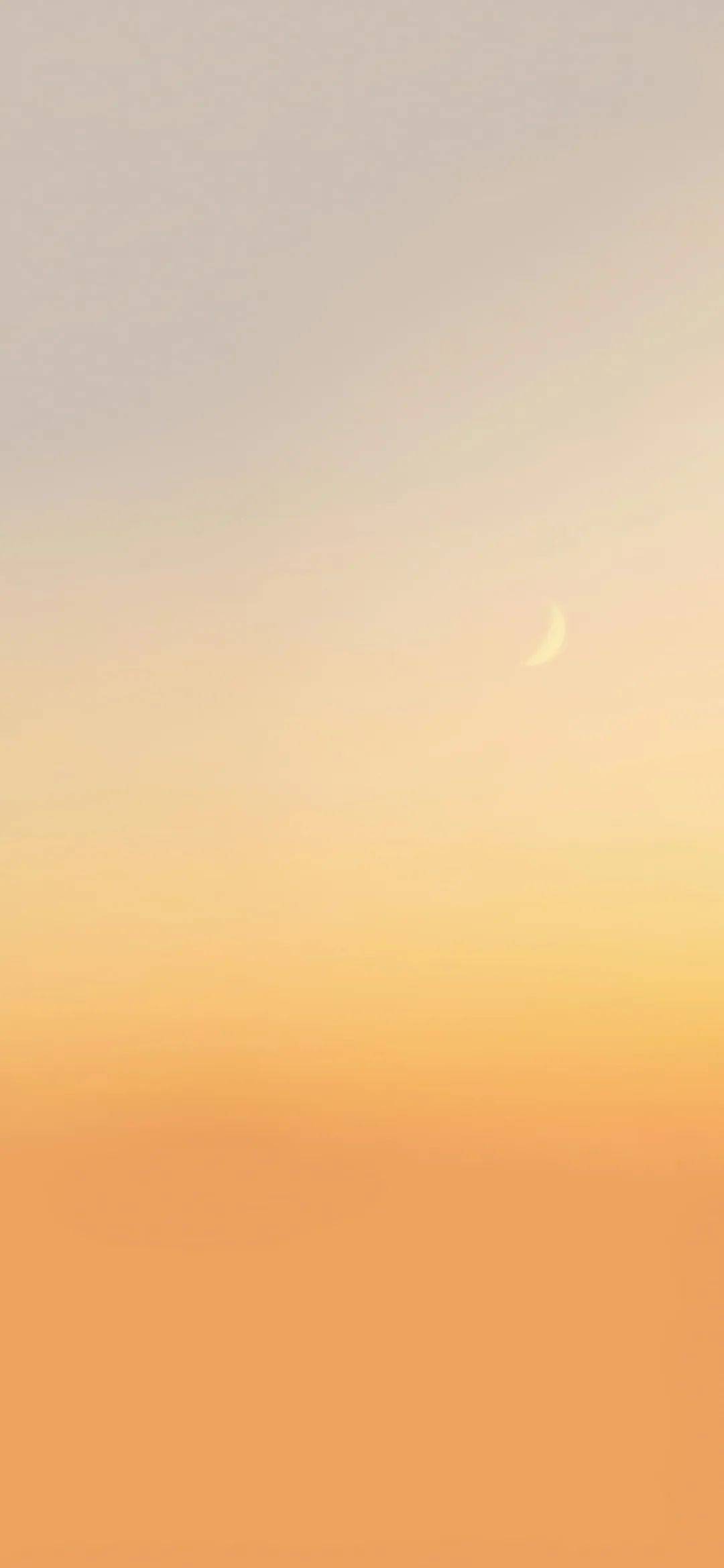 专题壁纸