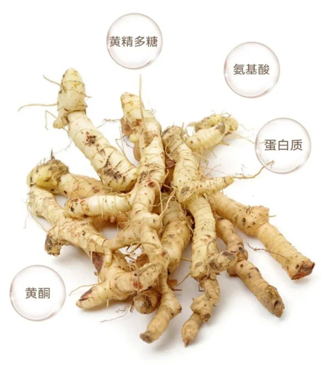 天然肾黄金黄精是血气双补之王女吃养颜男吃强肾