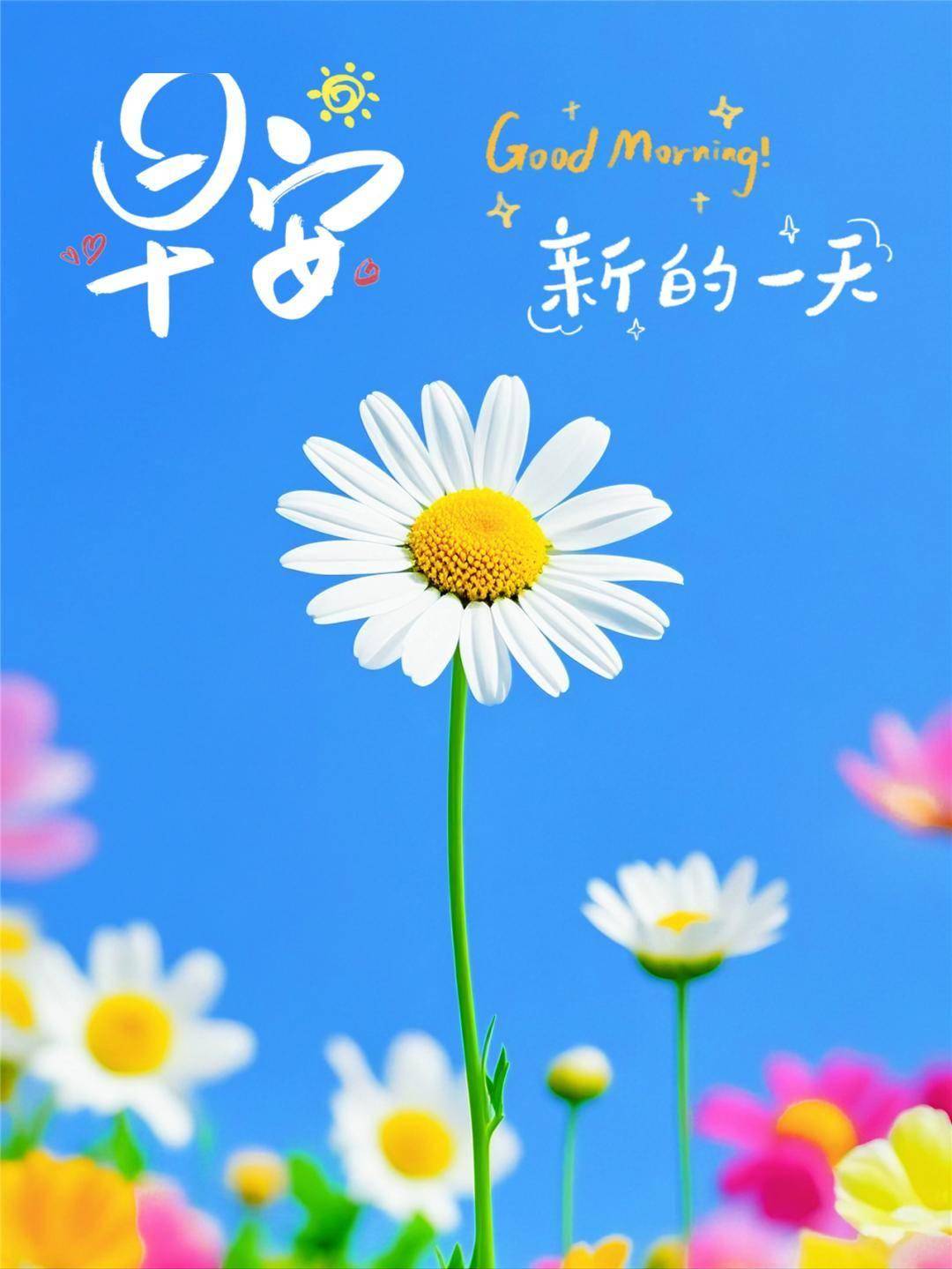 早安问候语每日更新新的一天正能量激励人心的好句子