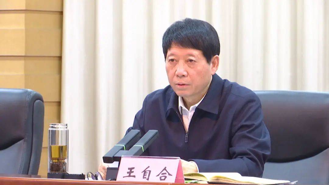 市委常委,宣传部部长王自合出席并讲话,市委常