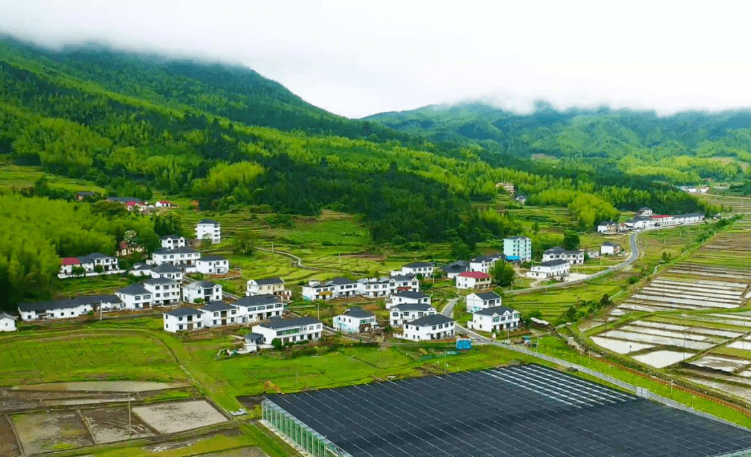 高频考点|高考地理中的"乡村振兴"