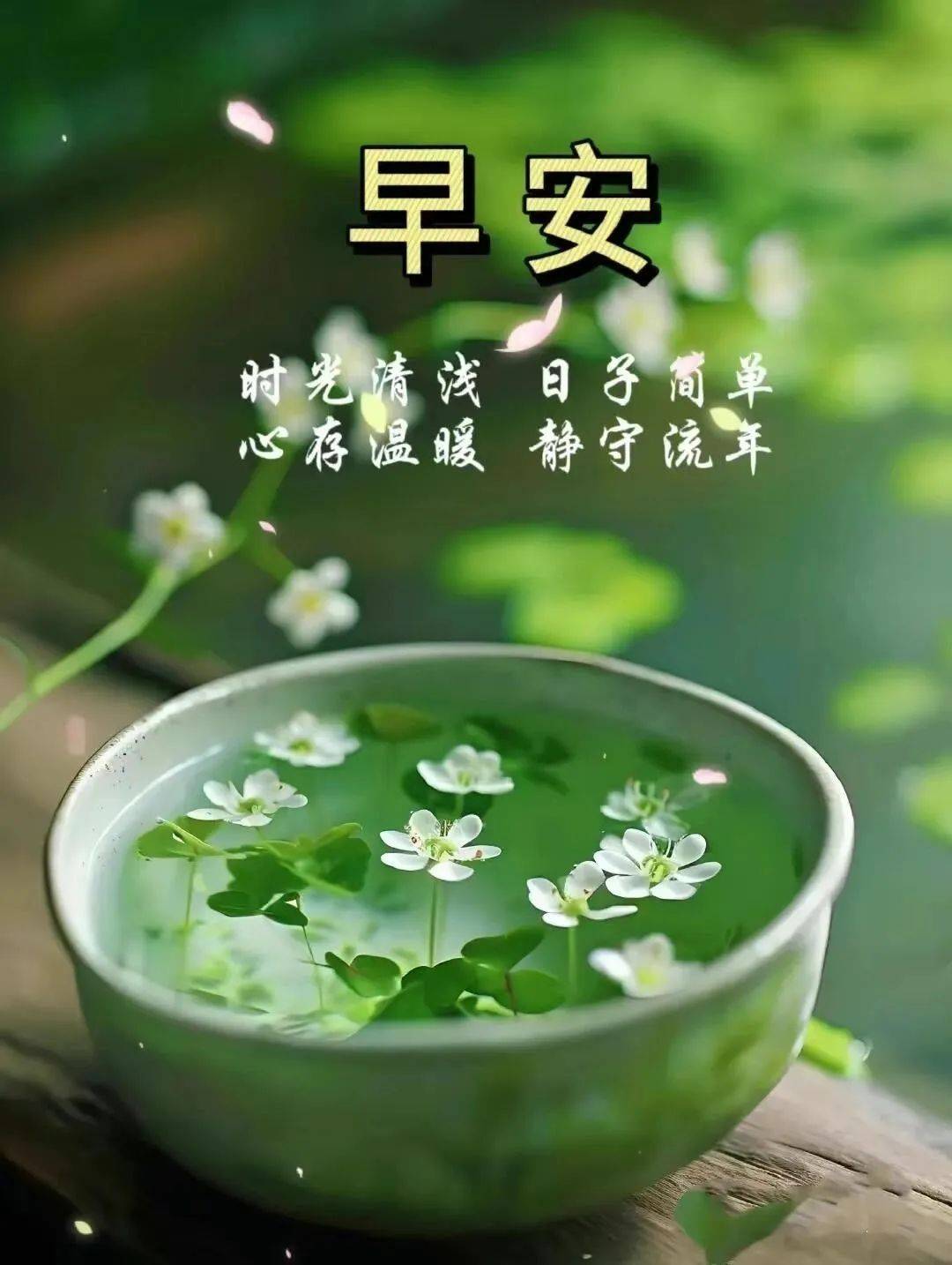 早安语录正能量句子!新的一天,新的开始!微笑面对生活,向阳而生