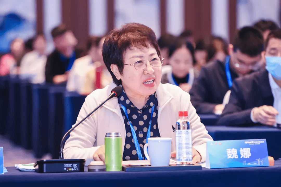 文化基因的重要载体",魏娜的观点引发在场两岸青年公益代表的强烈共鸣