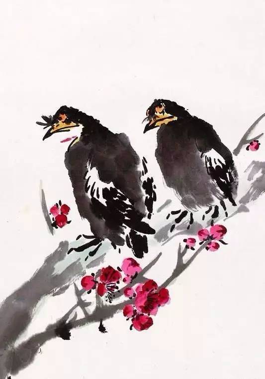 王雪涛画八哥,精彩极啦!