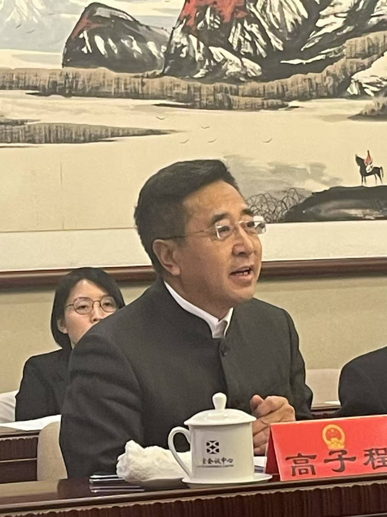 全国人大代表高子程:对侵犯律师执业权利行为,应有依法问责机制_服务_社会_行业