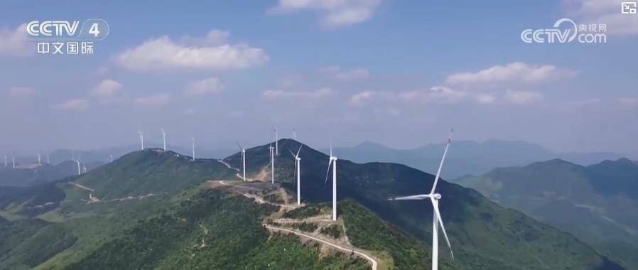 税收数据彰显经济活力，政策驱动市场向好，全国统一大市场建设推进，企业省际销售与物流收入双增