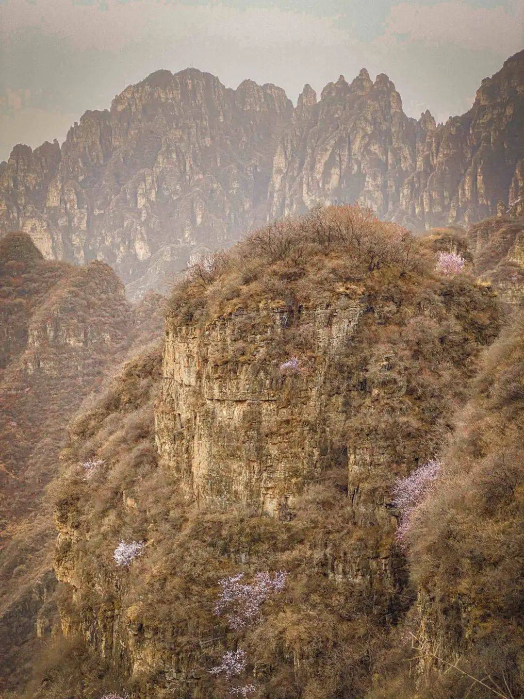 蚕姑坨位于易县西山北乡沙岭村西的蚕姑坨在这里狼牙山东麓一改其险