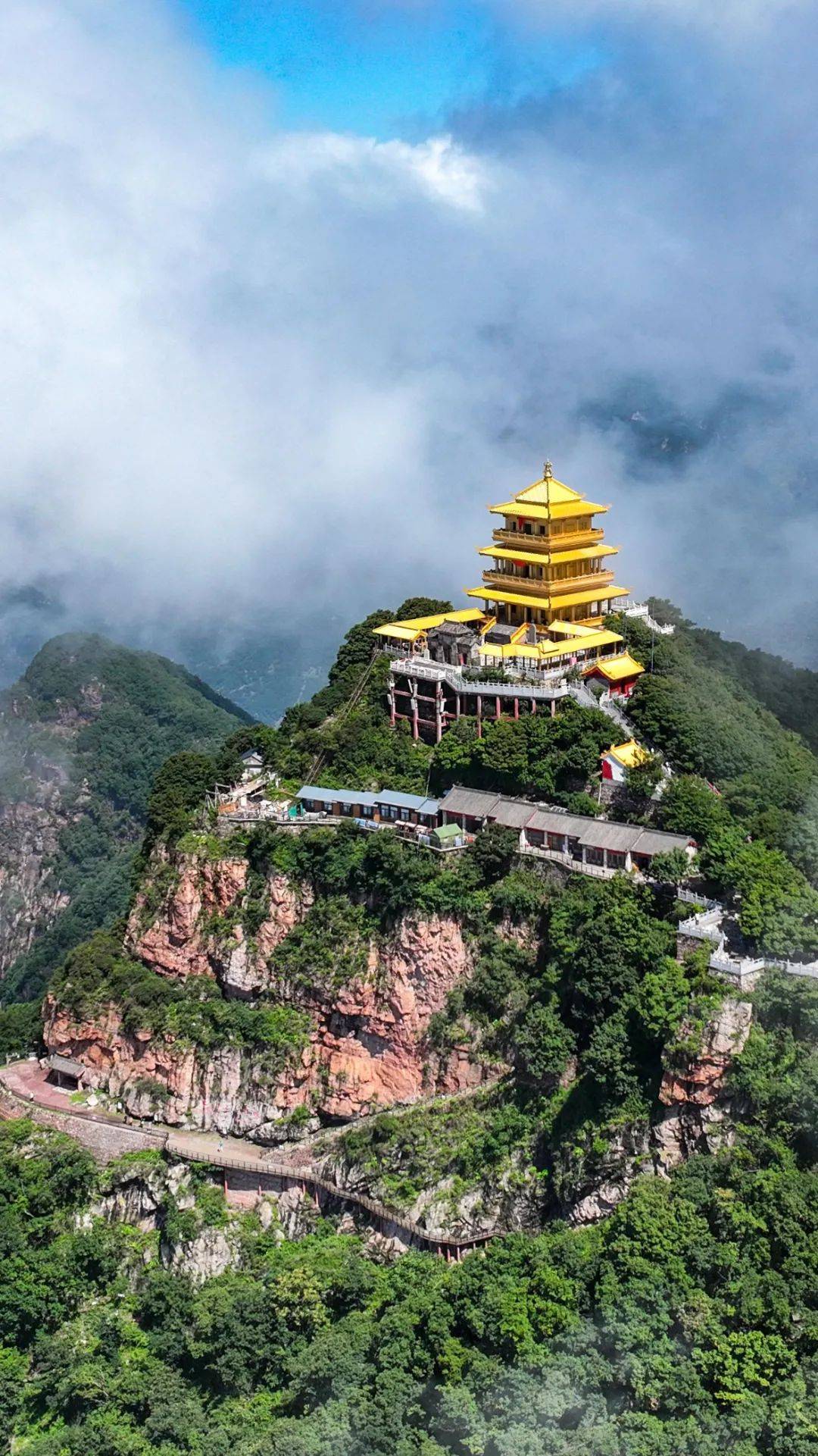 万树桃花开5a启新程体重管理年王屋山踏青燃脂正当时