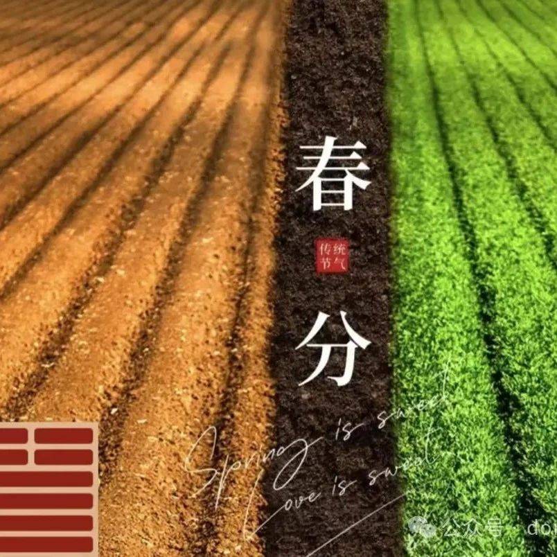 春分节气有什么特点?我们可以这样调整_木气_东方_大自然
