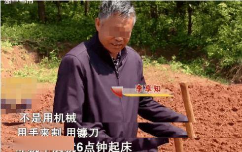 深山继父20载艰辛，撑起九口之家希望蓝天