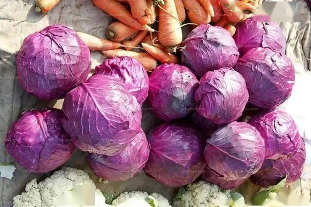 别再吃洋葱抗流感了，这些蔬菜才是王道！，流感季饮食攻略：避开洋葱，选对蔬菜增强免疫力！