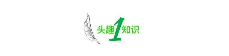 借住亲戚家：是享受便利还是破坏情谊？
