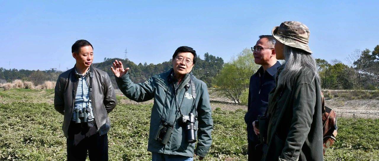 “清网护鸟”进行时:张正旺教授来铅考察助力生态保护_铅山_亚种_淡色