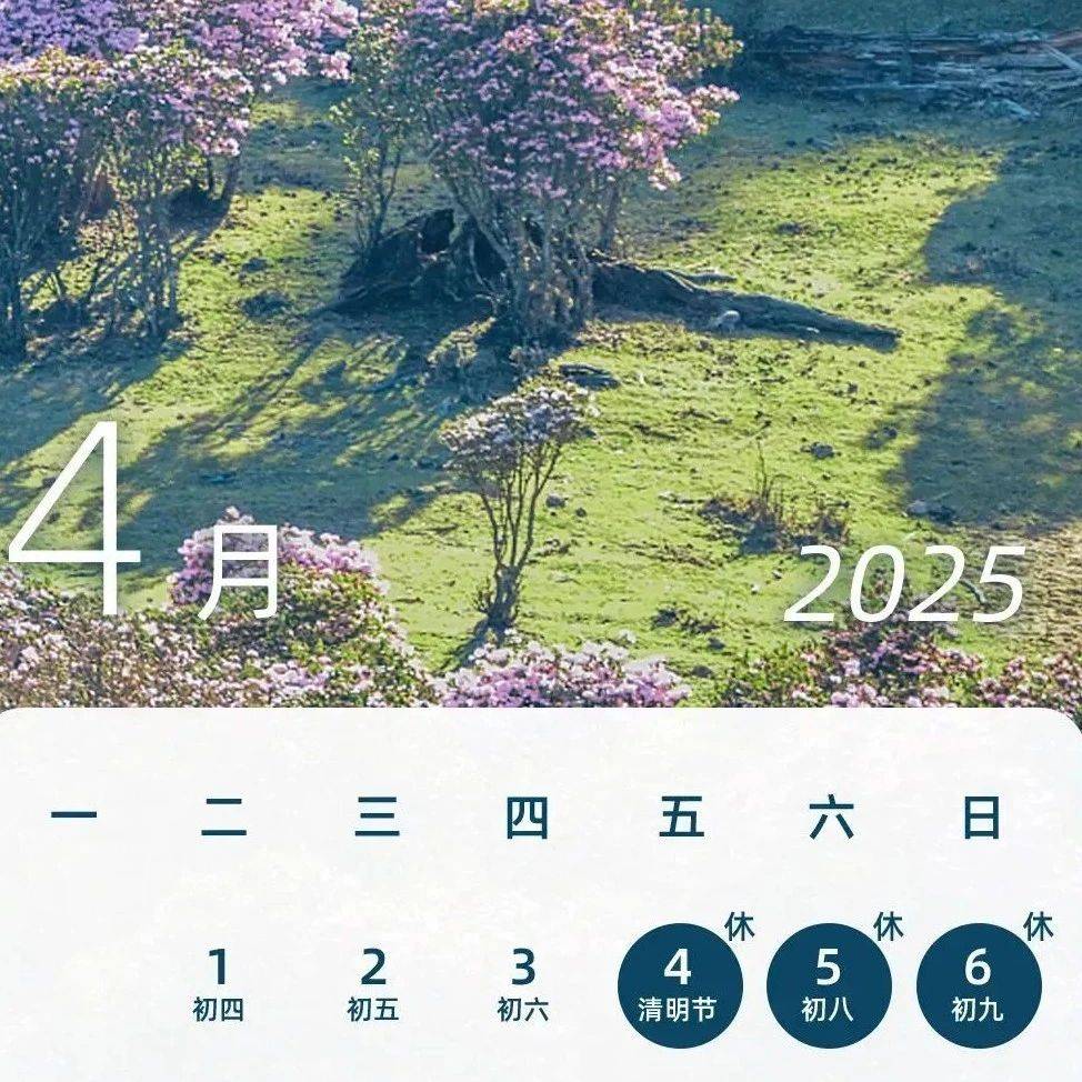 注意！下周上四休三不调休_客车_收费_通行费