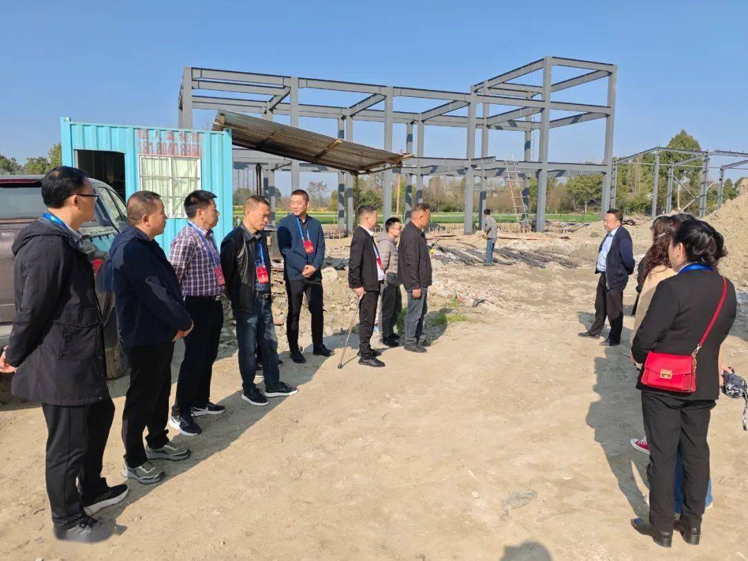 都江堰市第十九届人民代表大会天马镇代表团开展2025年第一季度代表