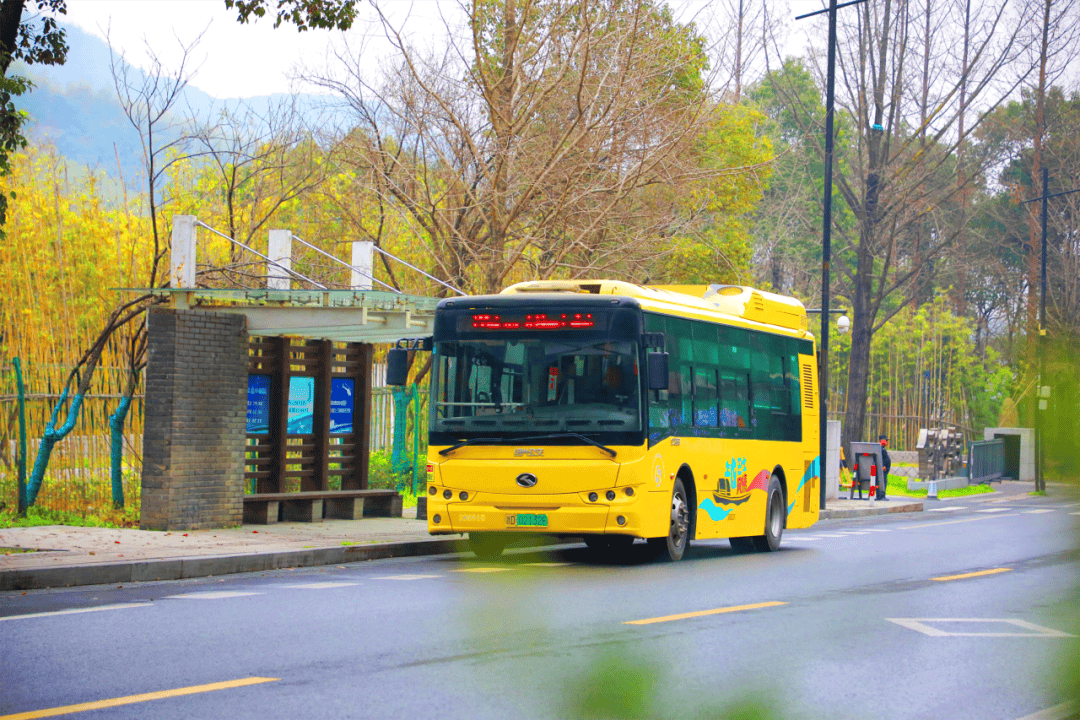 177路:这条公交线路,串起江南四季