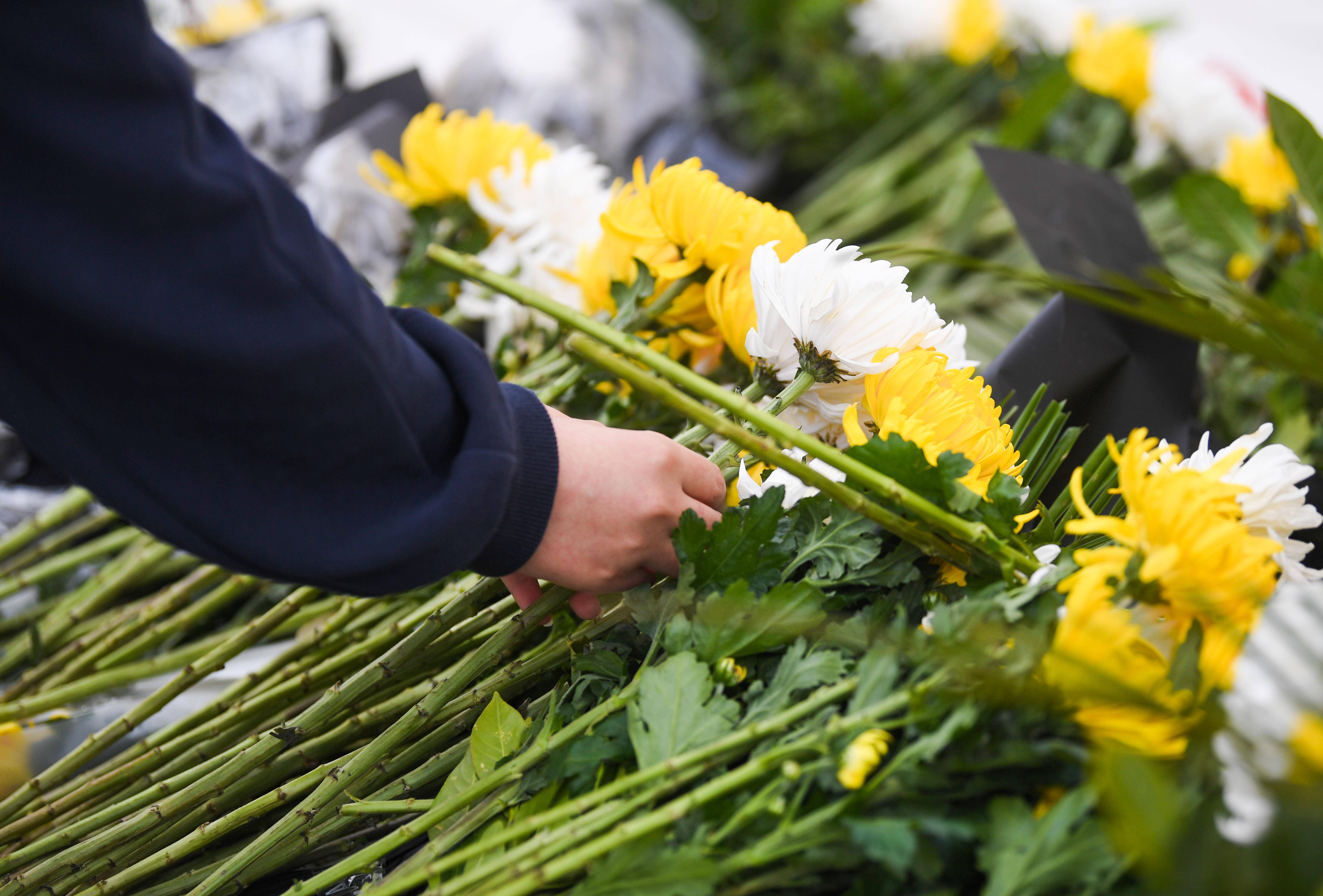 枝枝黄菊祭英魂!银川市社会各界清明祭扫缅怀革命先烈