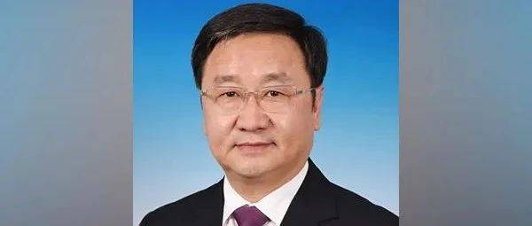 王新伟,当选辽宁省省长_工作_综合_河南