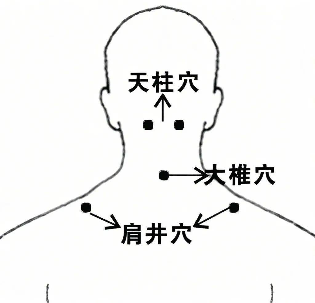 孝敬父母,就从按摩肩井穴开始吧 !