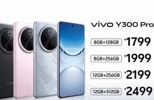 7300mAh续航灭霸！vivo Y300 Pro+发布：1799元起