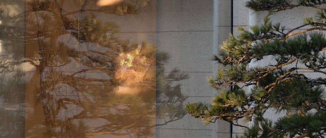 春山秋水｜绿城·湖栖雲庐，温润如玉_空间_东方_设计