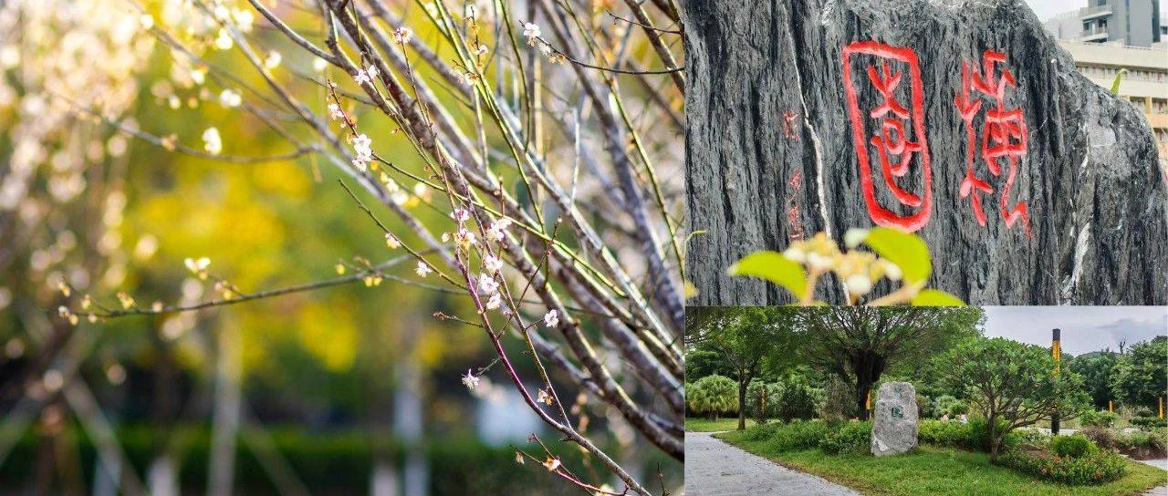 超1500种植物！仲恺农业工程学院植物园入选首批省级植物迁地保护机构广东省资源发展 