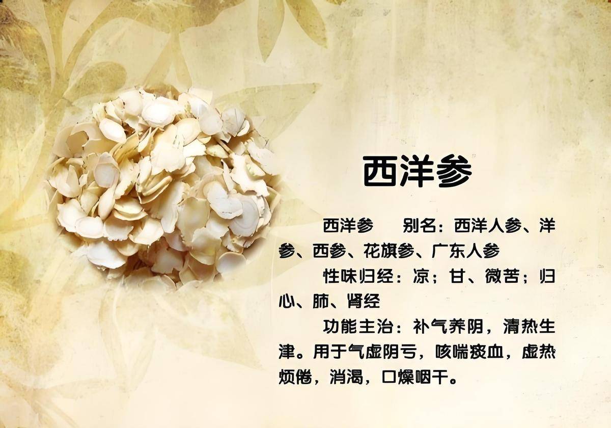 西洋参性寒属“无火参”，春夏吃赛黄金！但90%的人却选错牌子！_长白山_成分_工艺