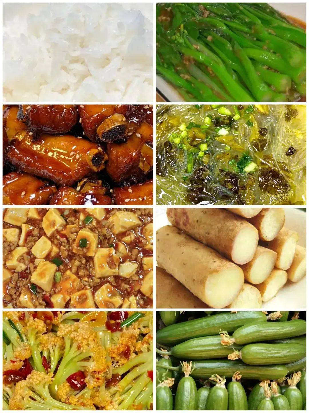 西安市东元路学校第九周食谱