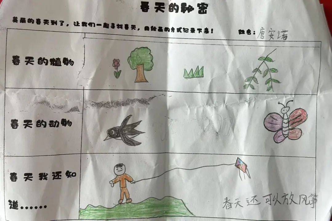 【园本活动】春天的秘密