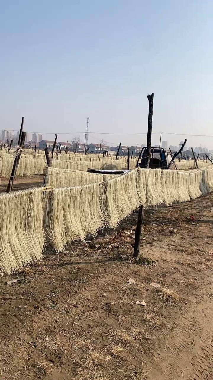 越到年底粉条订单越多,又有客户顶了两千金,一家四口都起了个大早晾