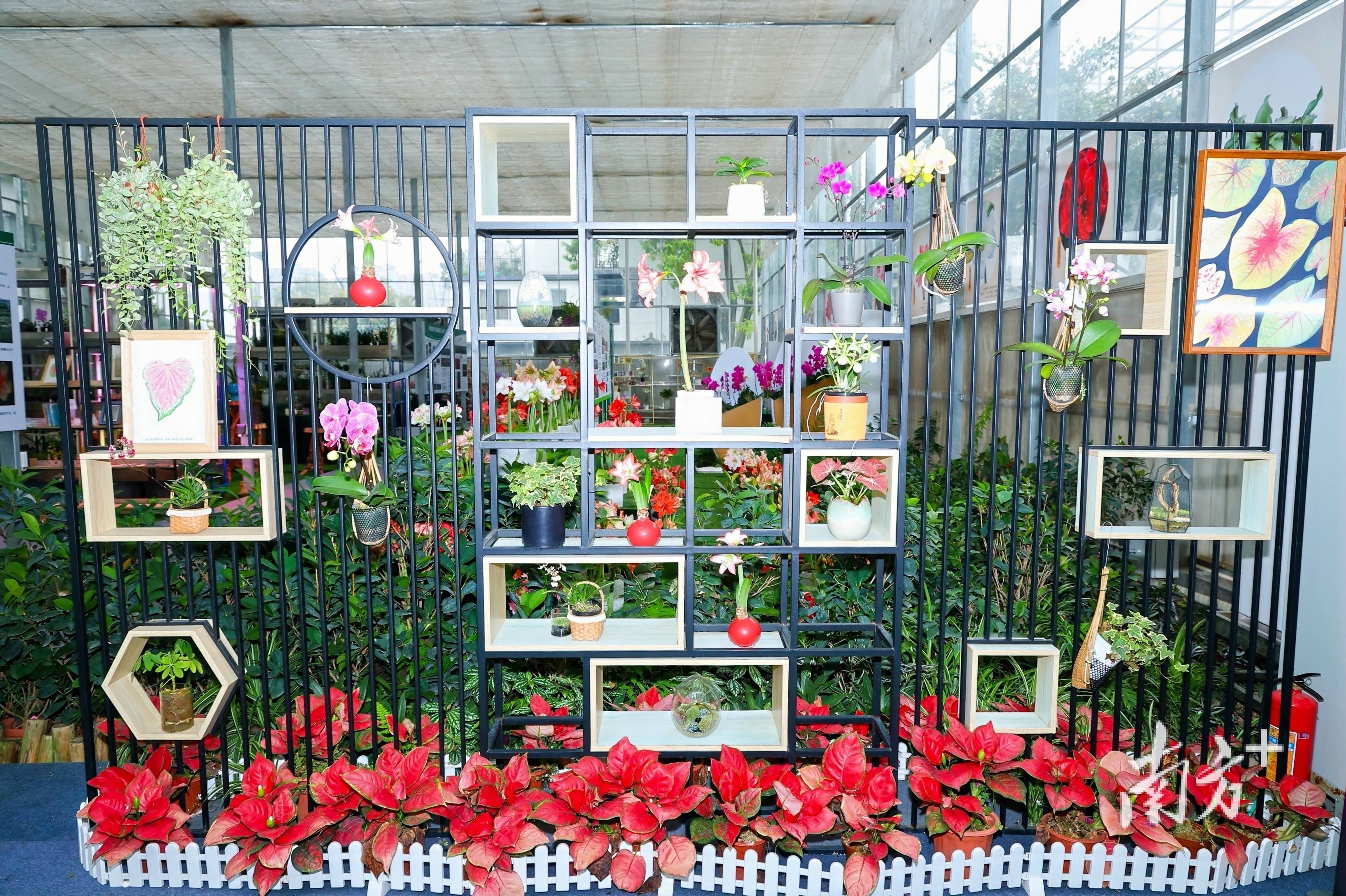 广东省花卉创新团队第四轮建设正式启动