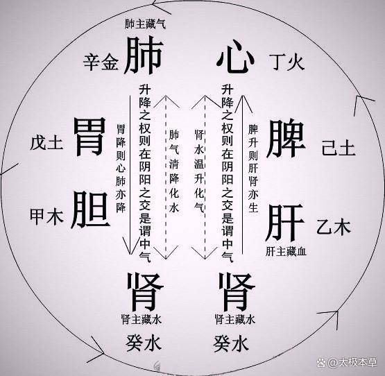 中医:“阴虚”还是“阳虚”?如何区分?如何调理_症状_方面_人体