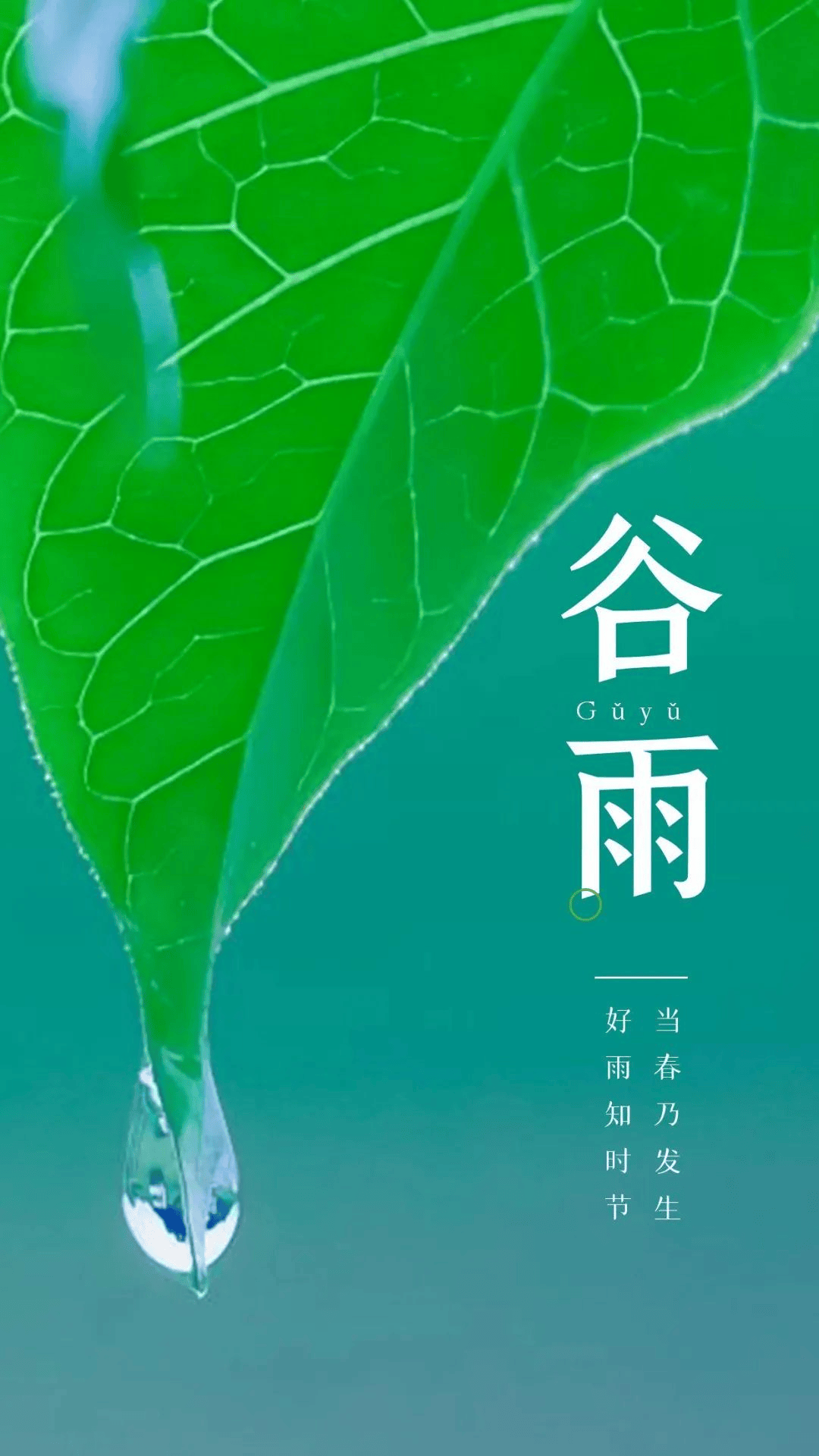 4月20日谷雨图片文案大全,适合谷雨的祝福问候语句子配图,祝你富贵