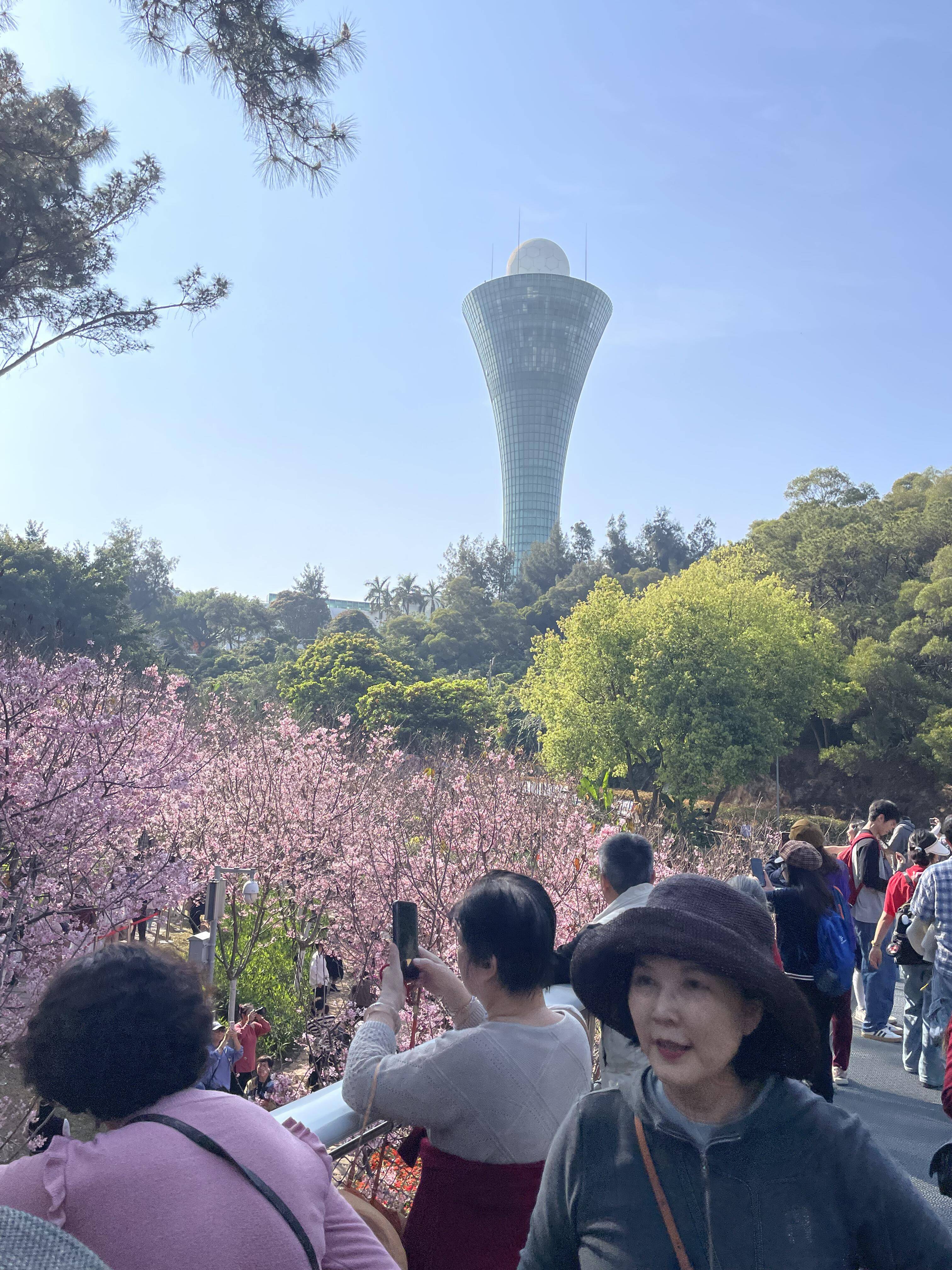天津一日游报团(2021天津一日游)