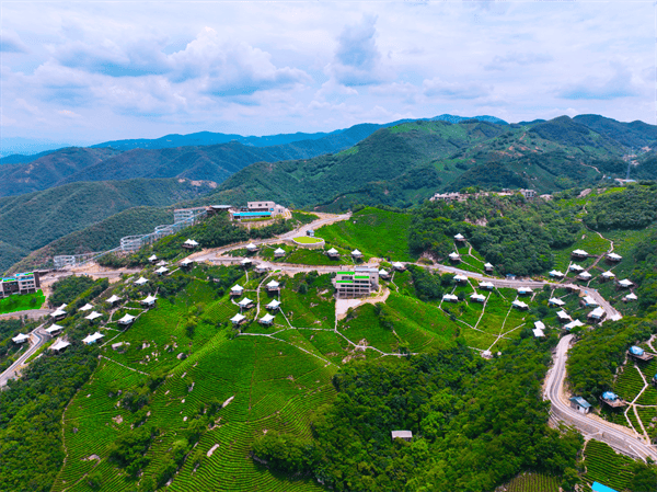 OB电竞网址信阳市浉河区：茶山美景醉游人 茶旅融合绘新景(图1)