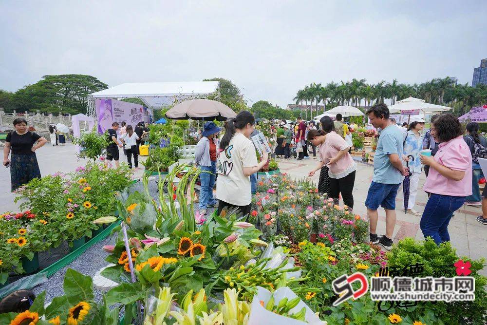顺德庭院节启幕“方寸庭院”撬动“绿美经济”新蓝海(图7)