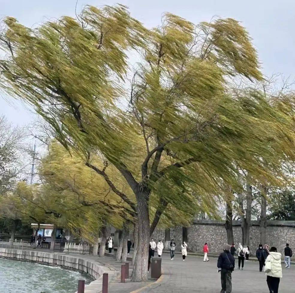 北京阵风六七级,局地扬沙!