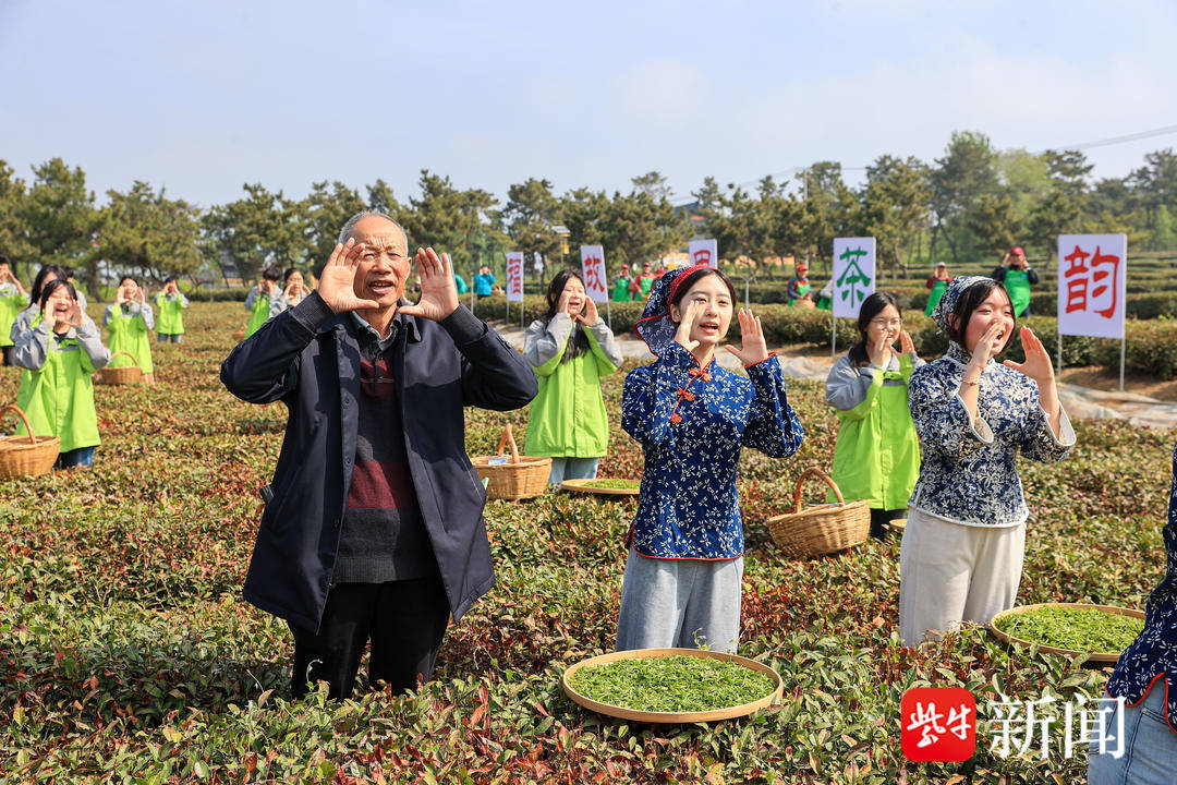 OB电竞下载连云港赣榆举行第八届徐福茶开茶节(图3)