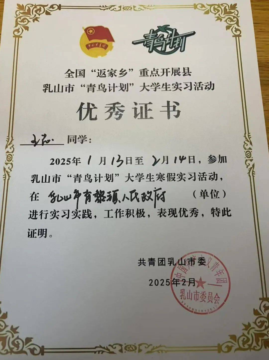 2025年寒假大学生"返家乡"社会实践活动总结