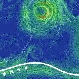2025高考地理 二轮微专题05 特殊天气系统和现象_暴流_气团_地面
